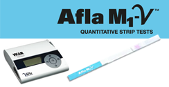 Flats css3